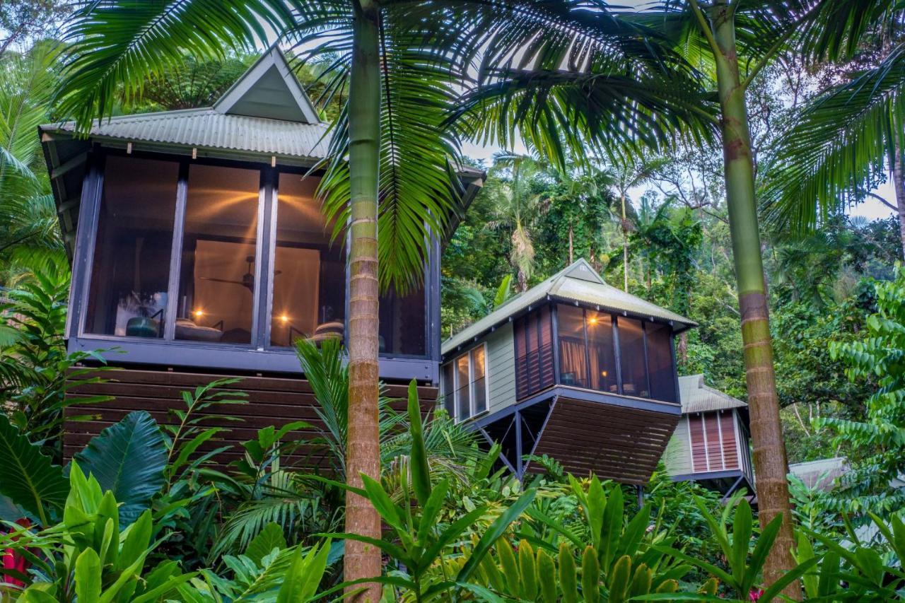 Daintree Ecolodge Eksteriør billede