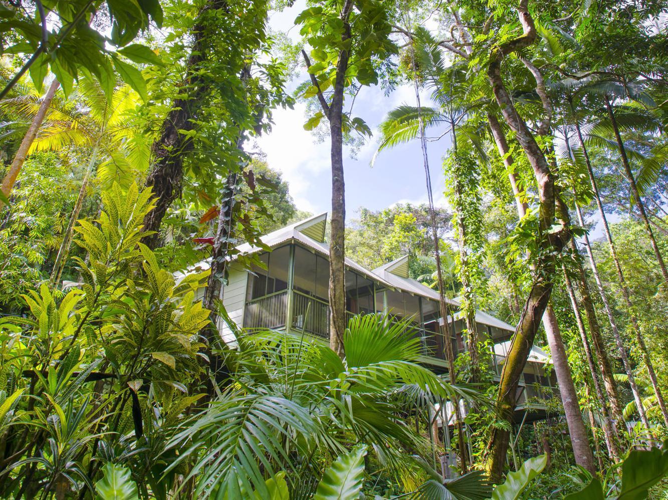 Daintree Ecolodge Eksteriør billede
