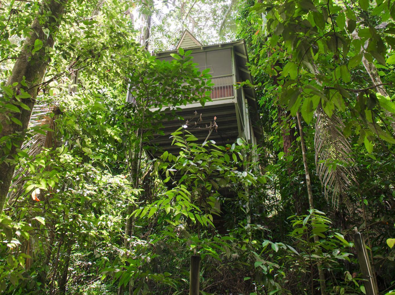 Daintree Ecolodge Eksteriør billede