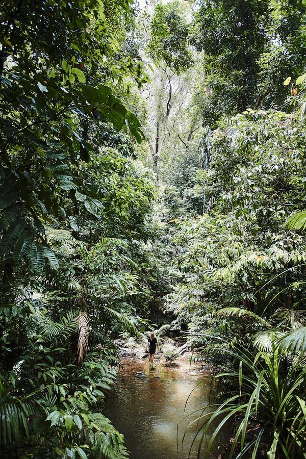 Daintree Ecolodge Eksteriør billede