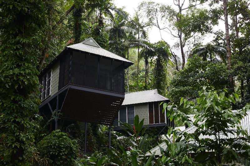 Daintree Ecolodge Eksteriør billede