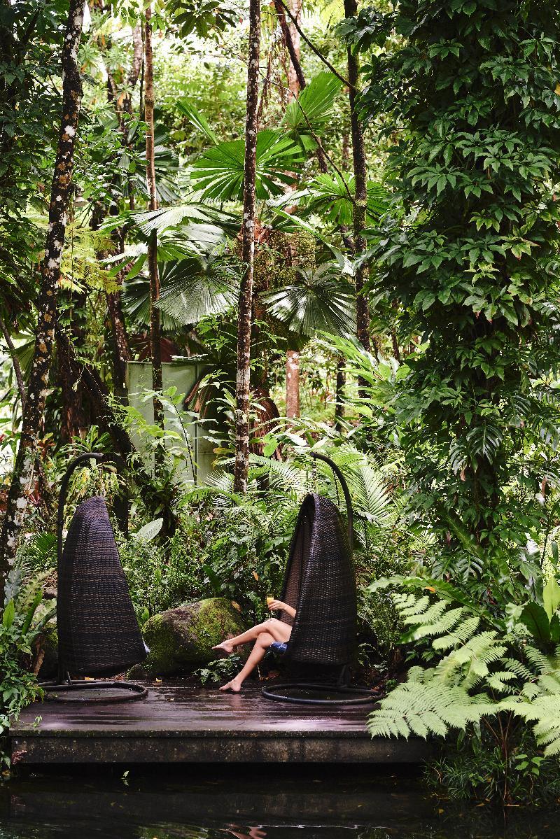Daintree Ecolodge Eksteriør billede