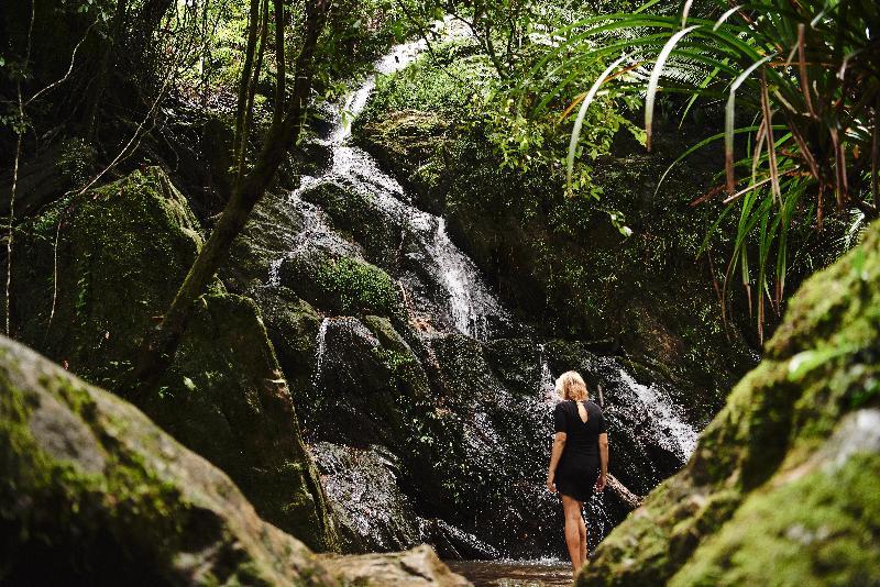 Daintree Ecolodge Eksteriør billede