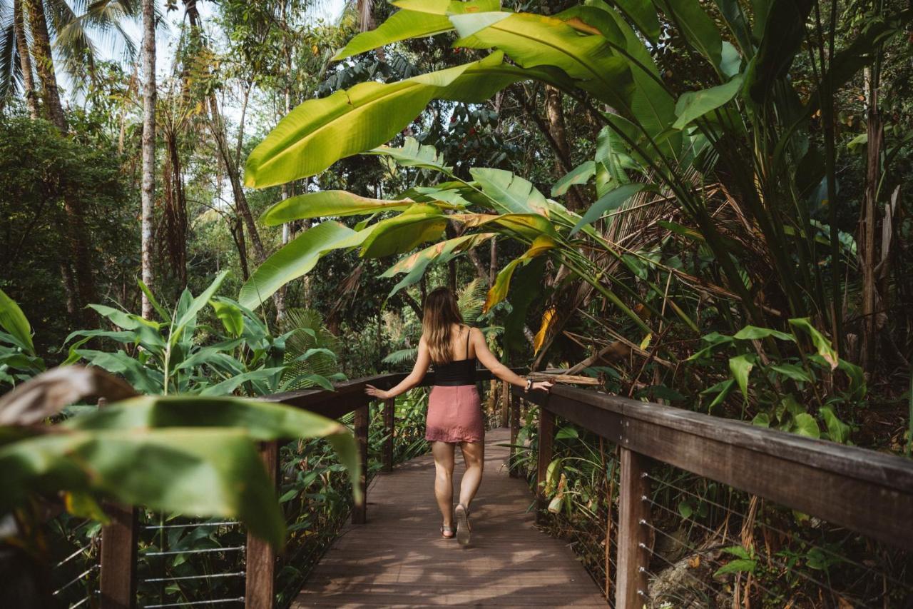 Daintree Ecolodge Eksteriør billede