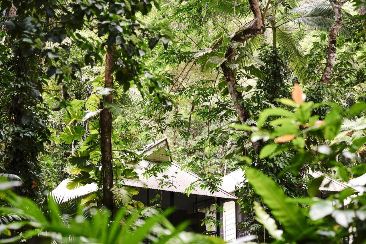 Daintree Ecolodge Eksteriør billede
